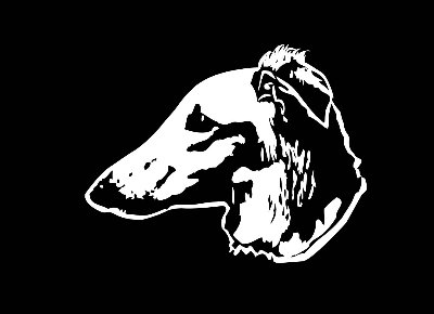 がんぼるぞい（看板犬のXアカウント）