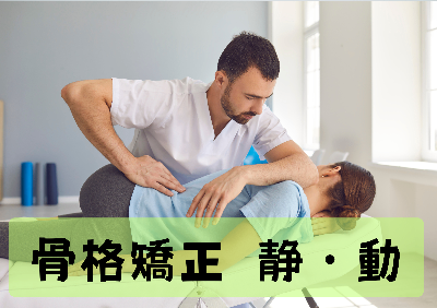 骨格調整 静・動