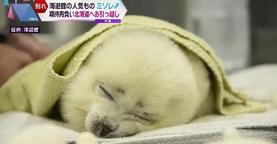 ブログ「みすゞ色の徒然 〜役者OBAKA! な生活〜」