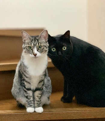 まろはなInstagram