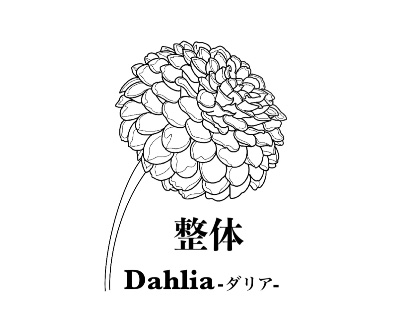 \ 整体 Dahlia -ダリア- ／ lit.link(リットリンク)