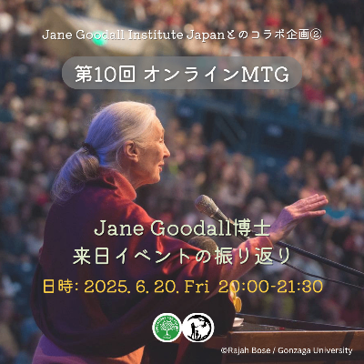 第10回オンラインMTG