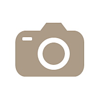 プロフィール写真撮影