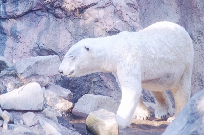 ゼロの純愛―1日目から356日目まで
