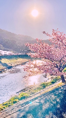 恋とかのはなし―大学一年生春編🌟