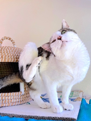 ゼロの純愛―357日目から