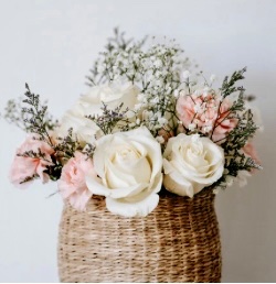 blog