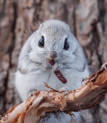 まったり写メ日記