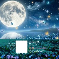 memento 13「勿忘草」