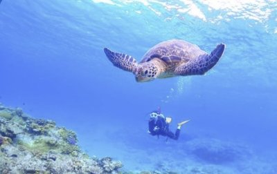Lucky Forever OKINAWA（沖縄県那覇市）