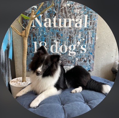 Natural18dog's代官山店