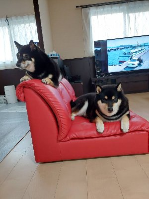 株式会社K・M・I