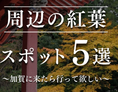 ホテルアローレ周辺の紅葉スポット5選🍁