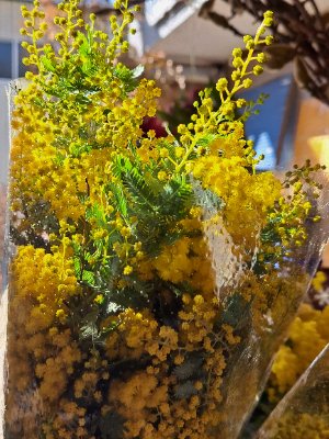 (NEW)魂の喜ぶ生き方に導く３ヶ月コース