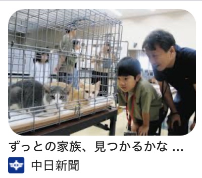 譲渡会取材記事