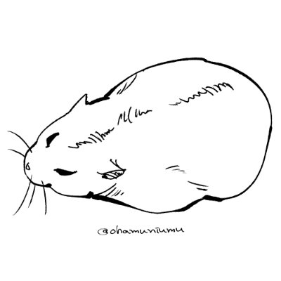 profile icon