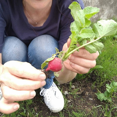 エシカルンテの庭