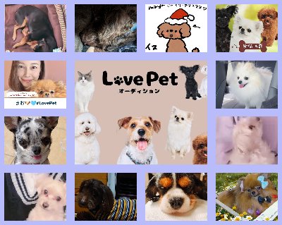 LovePet2🐶🐾《Paton投票》