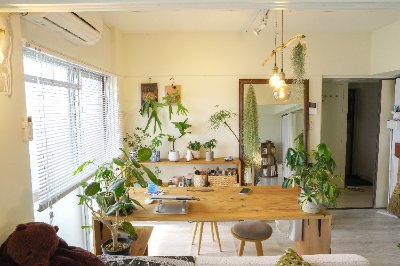 【コラム】 (YUIE PROJECT)