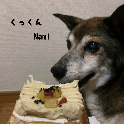4th Single