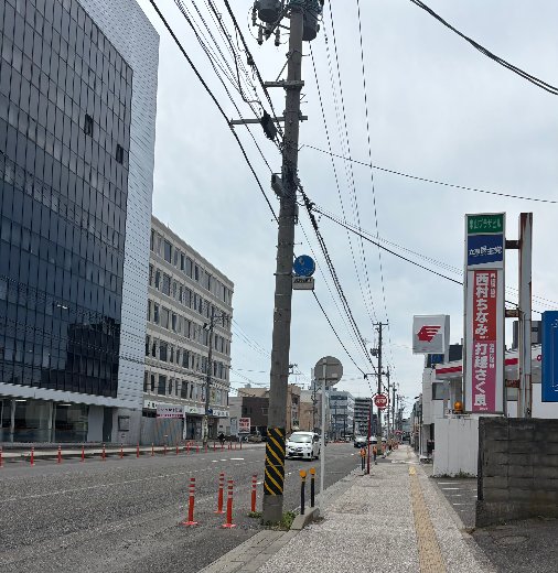 ボラセン