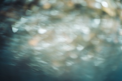 写真撮影　小雪