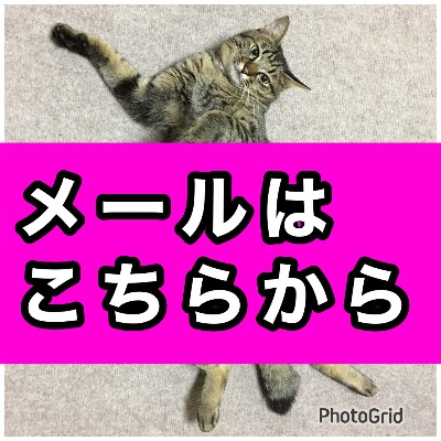 メールお問い合わせ