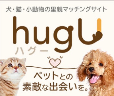 里親募集サイト ハグー『リックンのおうち探し』