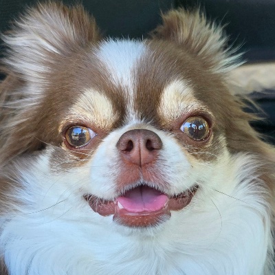 profile icon