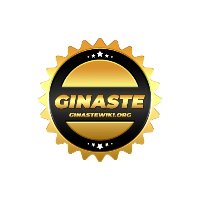 GINASTE