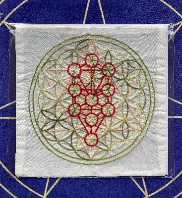 生命の木から見るＤＮＡ相関図