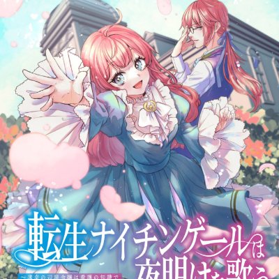 転生ナイチンゲールは夜明けを歌う