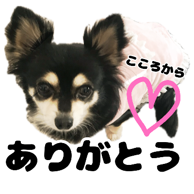 りぼんちゃんLINEスタンプ