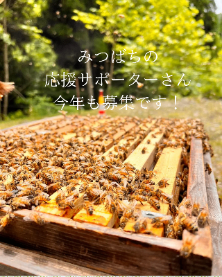 サポーターお申し込み