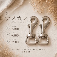 リード用 ナスカン(L)